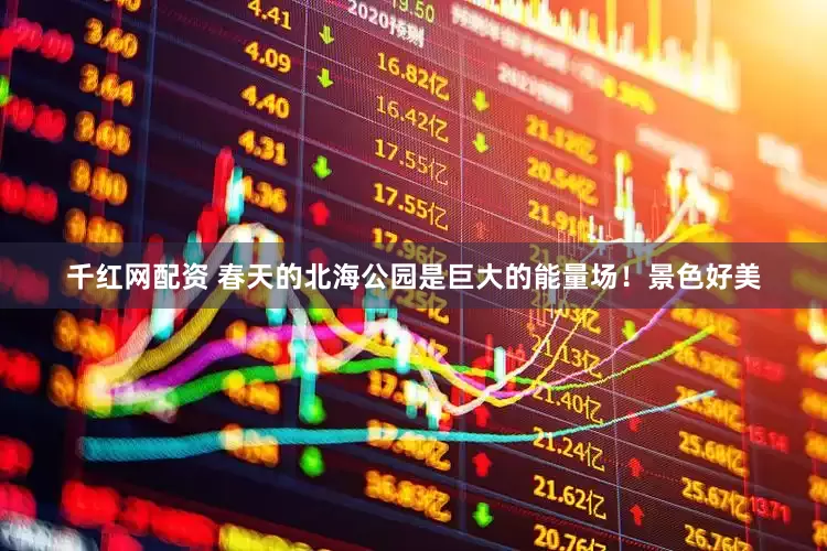 千红网配资 春天的北海公园是巨大的能量场！景色好美
